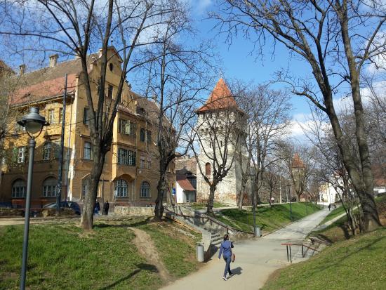 Parcul Sub Arini